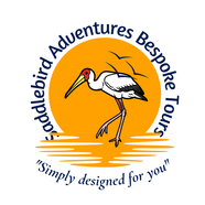 saddlebirdadventures.com